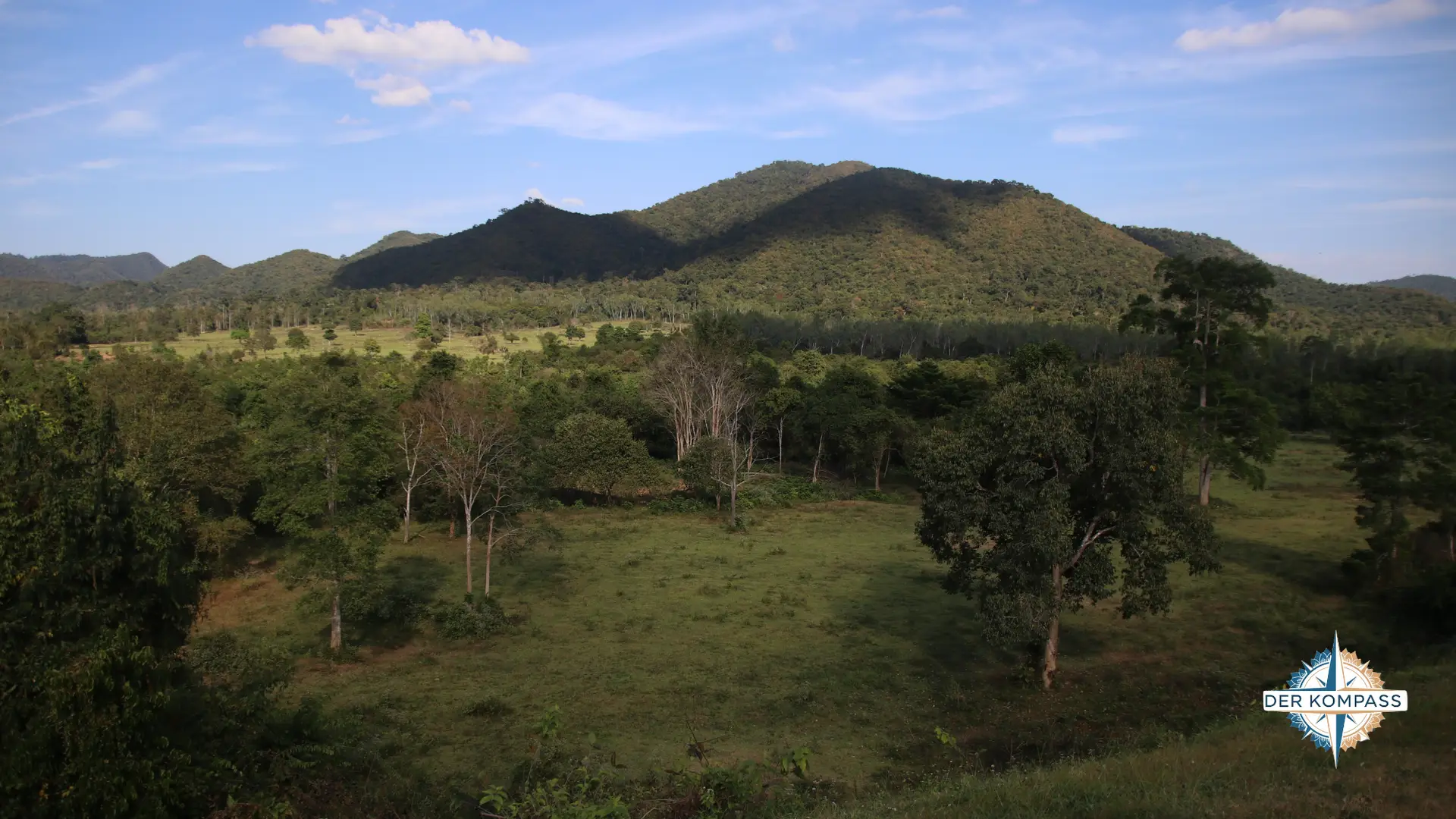 Thailands Dschungel giftige Tierwelt